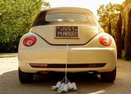 AutosJustMarried PS und echte Pferde AutosJustMarried