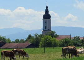 Standesamt Prutting https://commons.wikimedia.org/wiki/File%3APrutting%2C_RO_v_N.JPG